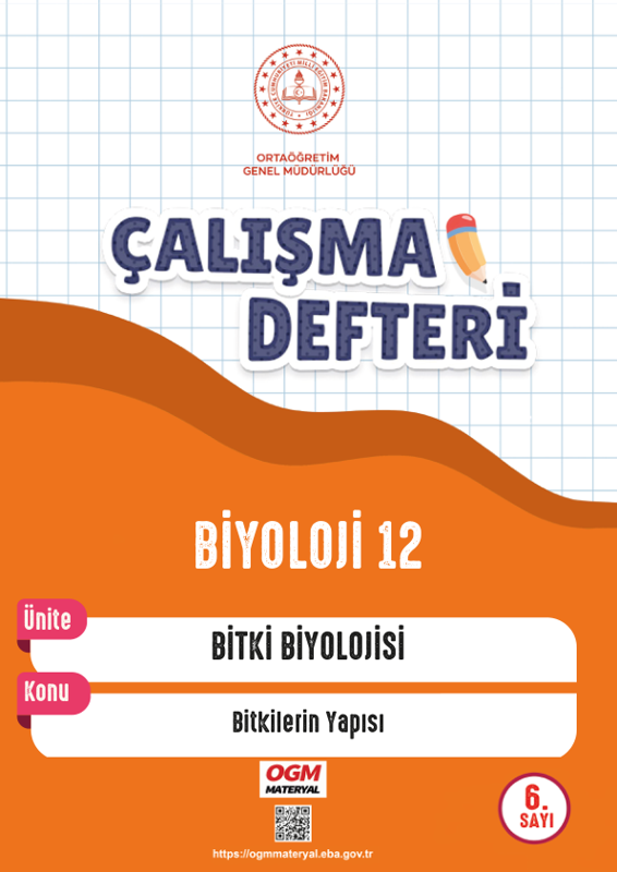 12. Sınıf Biyoloji Çalışma Defteri