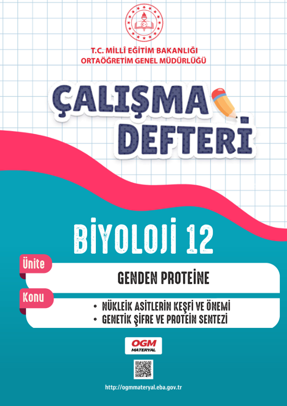 12. Sınıf Biyoloji Çalışma Defteri 2