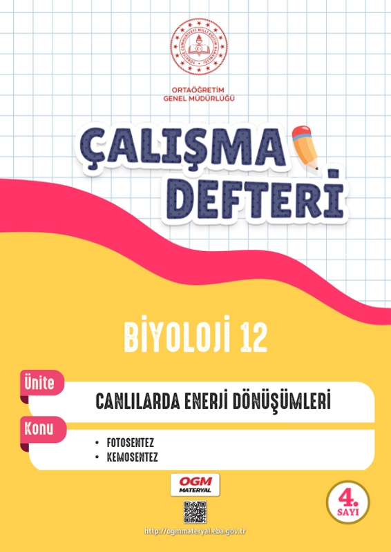 12. Sınıf Biyoloji Çalışma Defteri 3