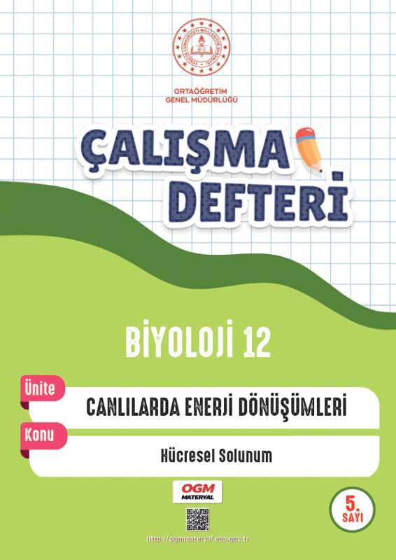 12. Sınıf Biyoloji Çalışma Defteri 5