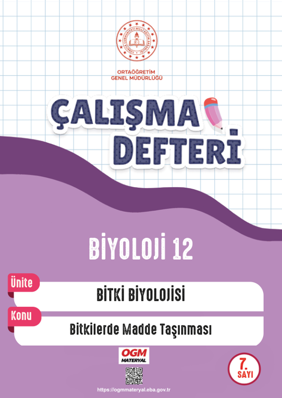 12. Sınıf Biyoloji Çalışma Defteri 6