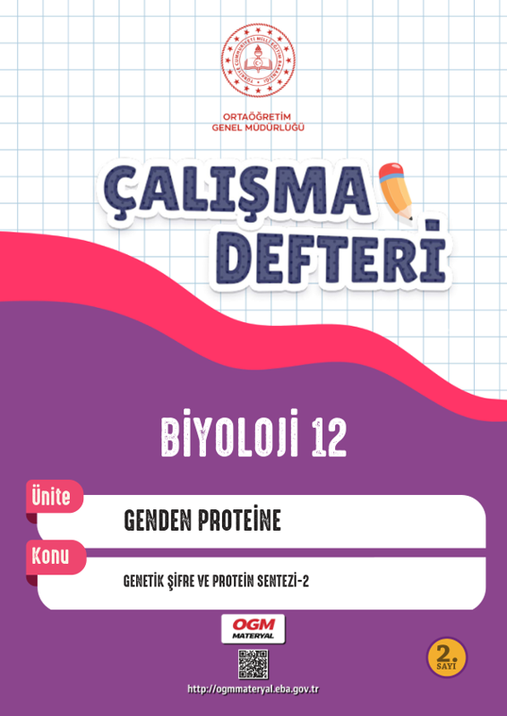 12. Sınıf Biyoloji Çalışma Kitabı