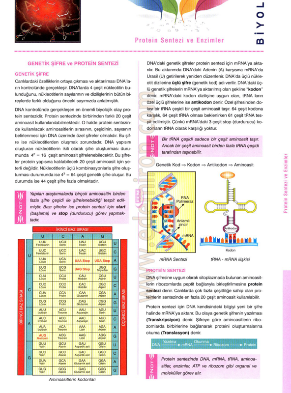 2009 FEM Dergisi 04