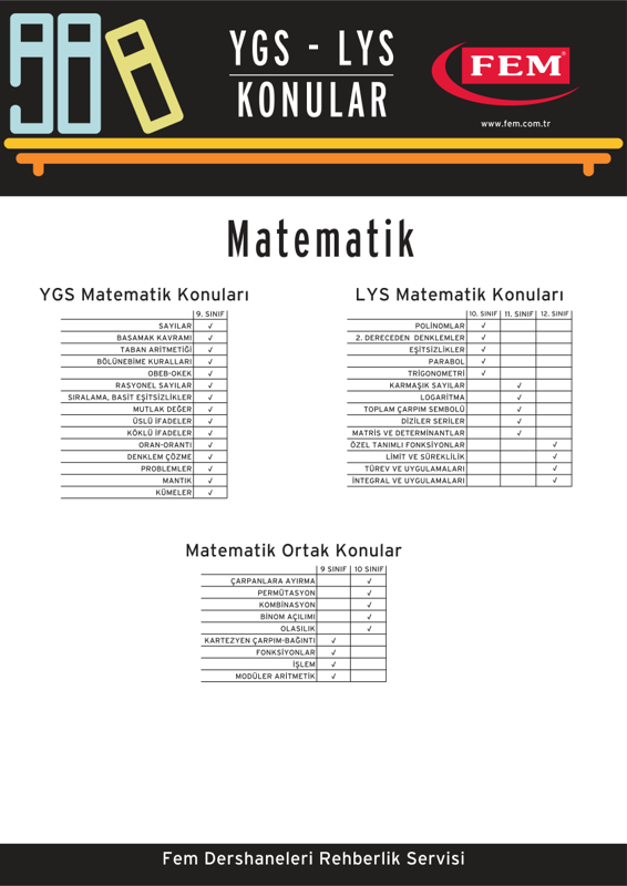 2011 YGS LYS Konuları