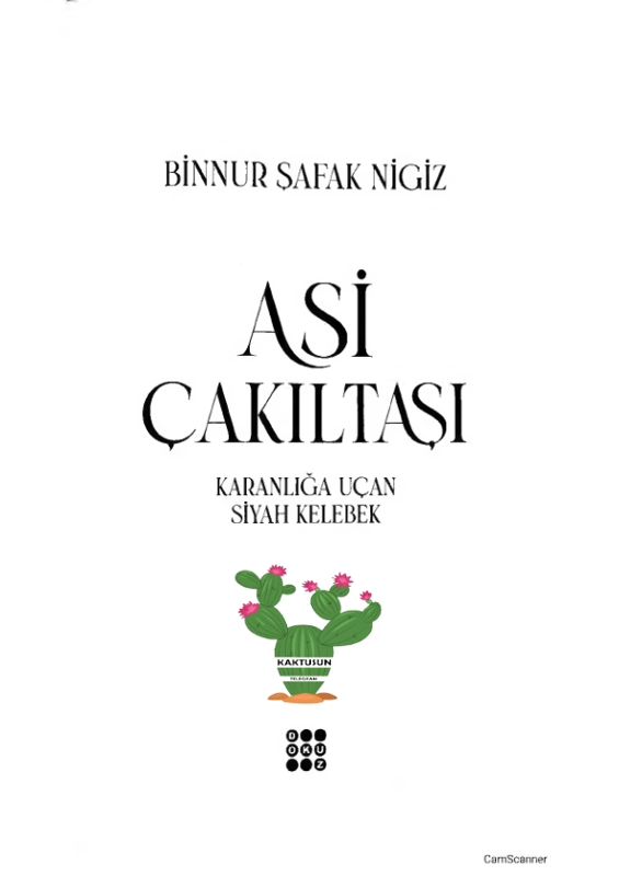 Asi Çakıltaşı 1: Gençlik İsyanının Öyküsü
