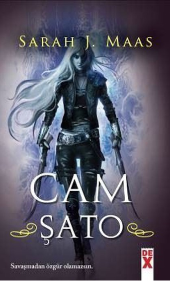 Cam Sato Serisi 1: Gizemli Başlangıç