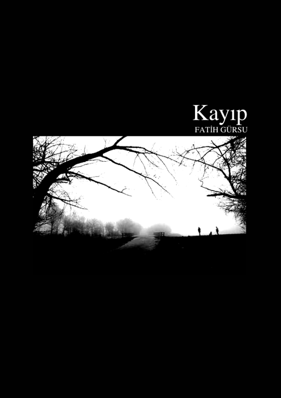 Fatih Gürsu: Kayıp
