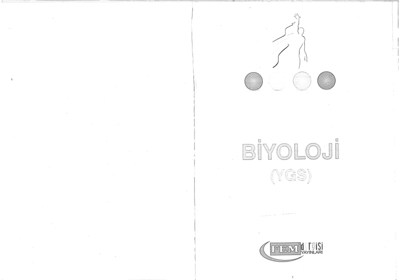 Fem YGS Simetri Biyolojik A