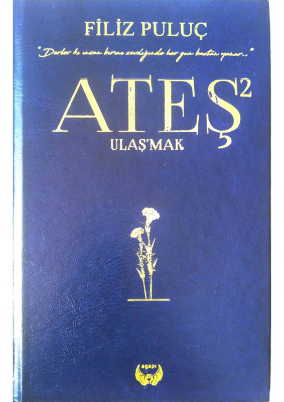 Ateş 2: Ulaşmak - Filiz Puluc