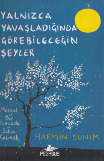 Haemin Sunim: Yalnızca Yavaşladığında Görebileceğin Şeyler