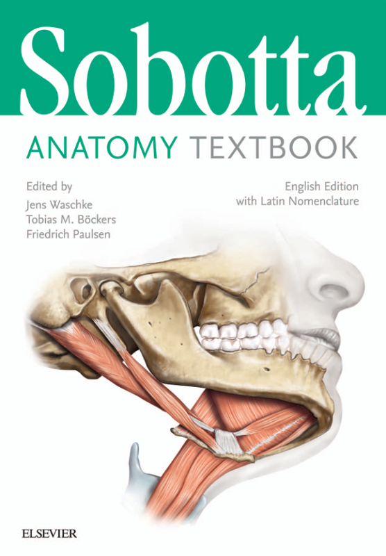 Sobotta İnsan Anatomisi Atlası - Jens Waschke, Tobias M. Bockers, Friedrich Paulsen