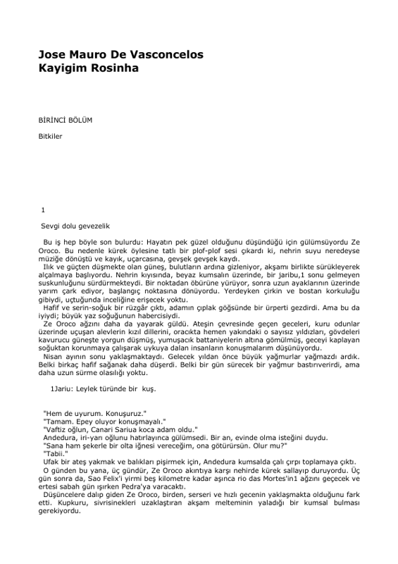 José Mauro De Vasconcelos Kayığım Rosinha