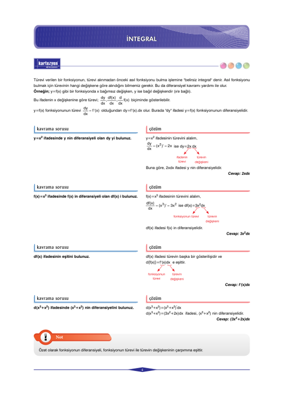 Kartezyen Matematik İntegral