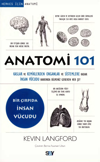 Herkes İçin Anatomi 101