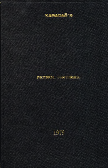 Raif Karadağ Petrol Fırtınası Divan Yayınları