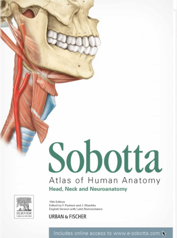 Sobotta Anatomi Atlası Cilt 3