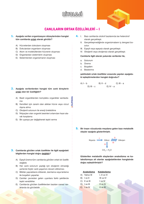 Suparaayt Tyt Biyoloji Test Kitabı