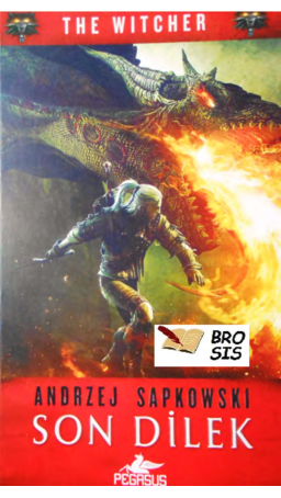 The Witcher 1 Son Dilek