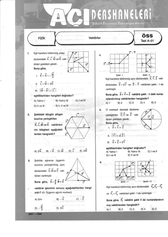 Yaprak Testossa 2006 2007